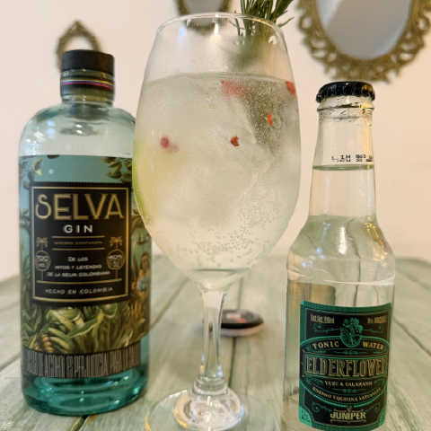 Gin and Tonic